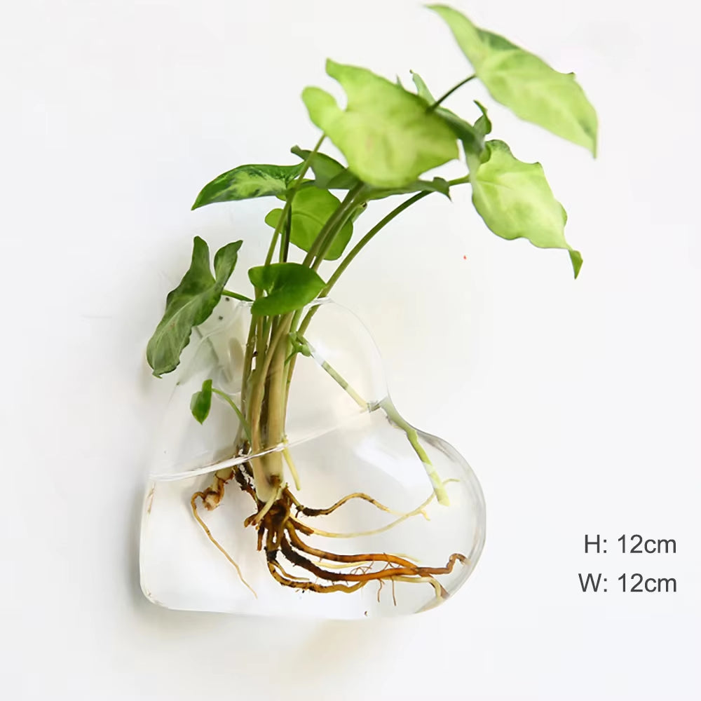 Fashion Wall Hanging Glass Flower Vase – Elegant & Modern Floral Décor