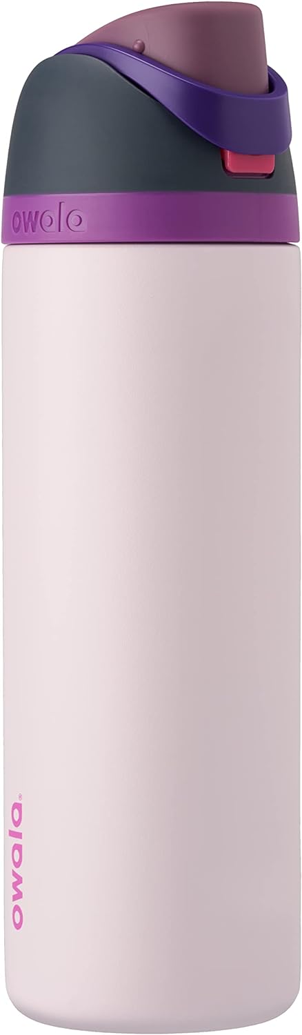 Freesip Insulated Stainless Steel Water Bottle with Straw 